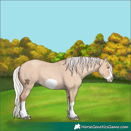 Horse Color:Silver Classic Champagne Dun Splash Frame 