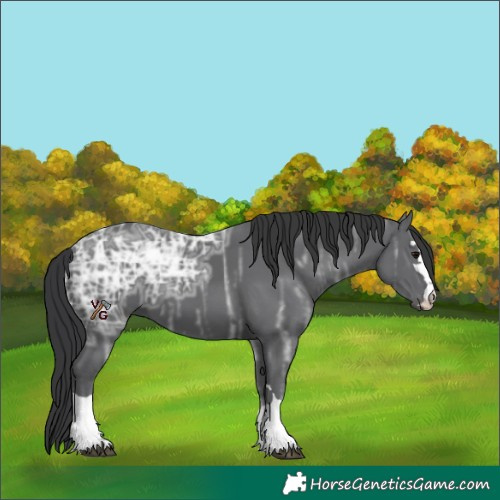 Horse Color:Black Ice 
