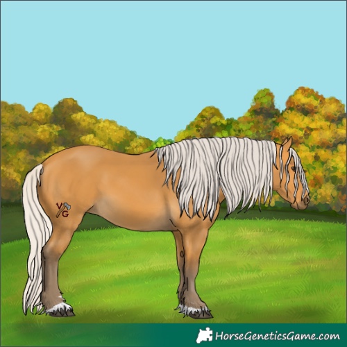 Horse Color:Silver Buckskin 