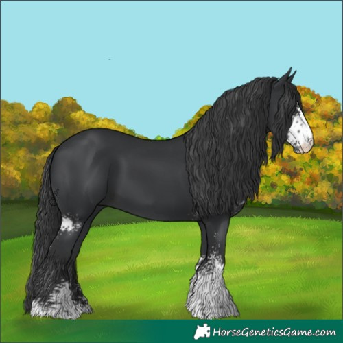 Horse Color:Black Sabino