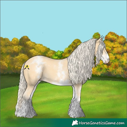 Horse Color:White Spotted Gold Cream Champagne