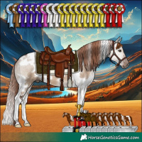 Horse Color:White Spotted Liver Red Dun Tobiano 