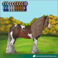 Horse Color:Liver Chestnut Splash Tobiano Rabicano