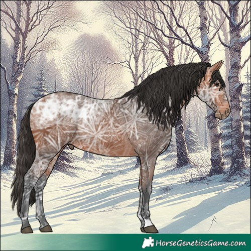 Horse Color:Bay Ice 