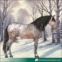 Horse Color:Bay Ice 