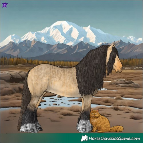 Horse Color:Buckskin Dun and Buckskin Dun
