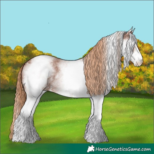 Horse Color:White Spotted Chestnut Sabino 