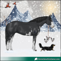 Horse Color:Black Sabino