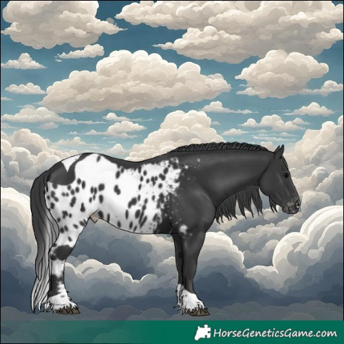Horse Color:Black Sabino Tobiano Skewed LP Spotted 
