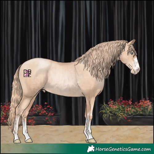 Horse Color:Gold Champagne Pearl Rabicano and Gold Champagne Pearl Rabicano