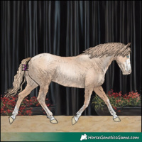 Horse Color:Gold Champagne Pearl Rabicano  and Gold Champagne Pearl Rabicano 