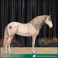 Horse Color:Gold Champagne Pearl Rabicano and Gold Champagne Pearl Rabicano