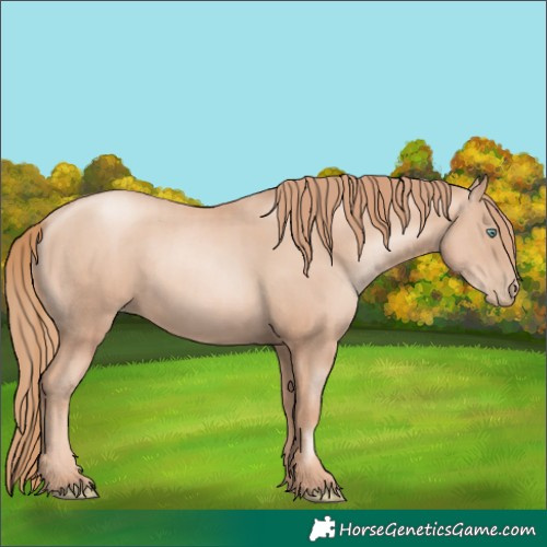 Horse Color:Gold Champagne Pearl Rabicano  and Gold Champagne Pearl Rabicano 