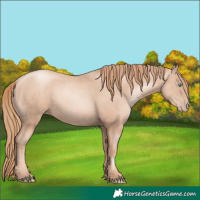 Horse Color:Gold Champagne Pearl Rabicano  and Gold Champagne Pearl Rabicano 