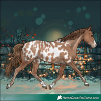 Horse Color:Black Pearl Splash Near Leopard 