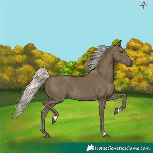 Horse Color:Silver Smoky Black 