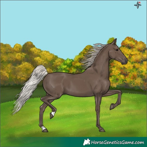 Horse Color:Silver Black 