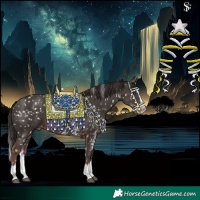 Horse Color:Liver Chestnut Sabino Splash Appaloosa