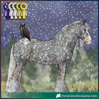Horse Color:Liver Chestnut Mushroom Sabino Splash Appaloosa 