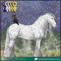 Horse Color:Liver Chestnut Mushroom Sabino Splash Appaloosa