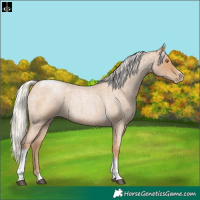 Horse Color:Silver Blue Roan Pearl Tobiano Frame 