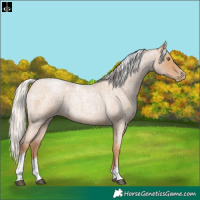 Horse Color:Silver Blue Roan Pearl Tobiano Frame 
