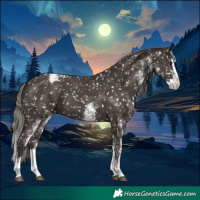 Horse Color:White Spotted Liver Chestnut Mushroom Splash Appaloosa 