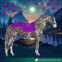 Horse Color:White Spotted Liver Chestnut Mushroom Splash Appaloosa 