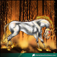 Horse Color:Liver Chestnut Sabino Splash Appaloosa 