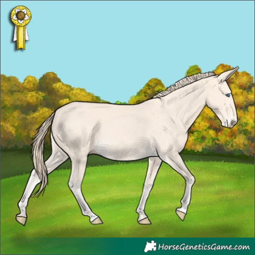 Horse Color:Perlino 