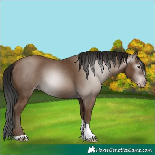 Horse Color:Gray Classic Champagne Tobiano 