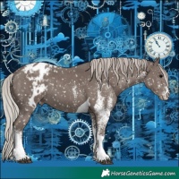 Horse Color:White Spotted Silver Black Tobiano Skewed Appaloosa 