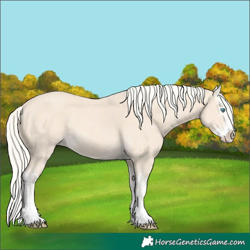 Horse Color:Cremello Splash  and Cremello Splash 