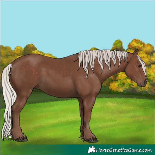 Horse Color:Silver Black 