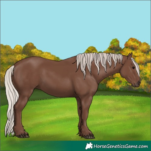 Horse Color:Silver Black 