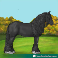 Horse Color:Black 