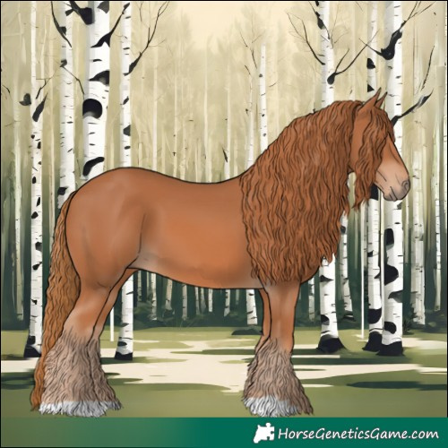 Horse Color:Chestnut 