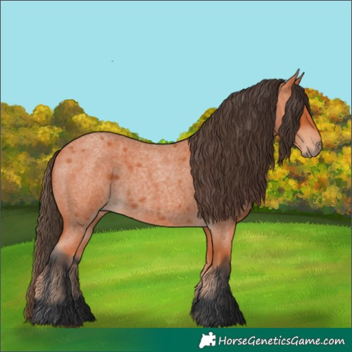 Horse Color:Bay Roan 