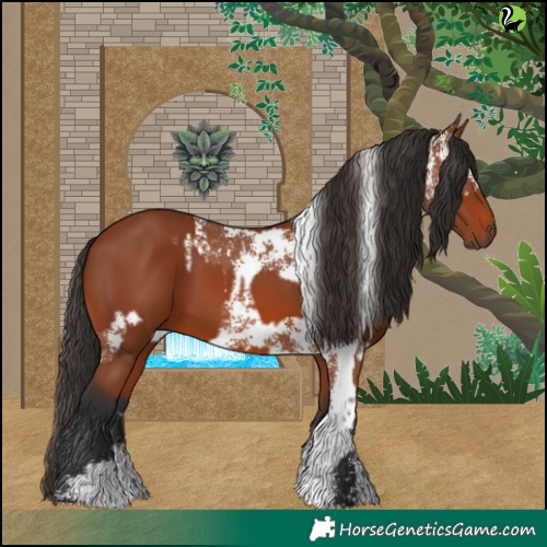 Horse Color:Bay Sabino Rabicano  and Bay Sabino Rabicano 