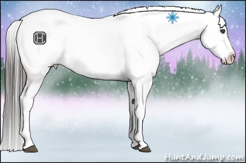 Horse Color:Black Frame Snowcap 