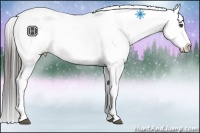 Horse Color:Black Frame Snowcap