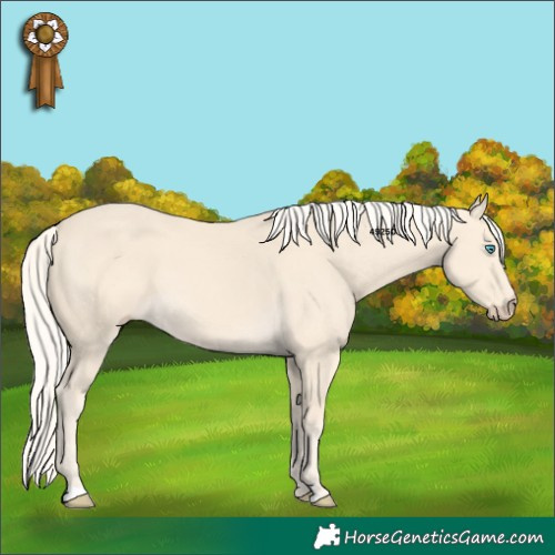 Horse Color:Cremello 