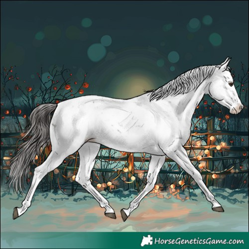Horse Color:Liver Chestnut Sabino Splash Blanket 