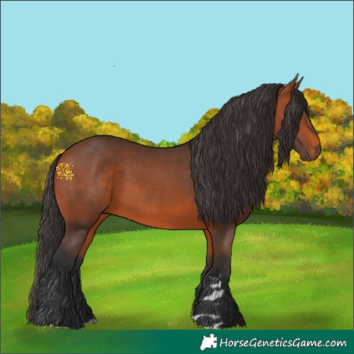 Horse Color:Brown 