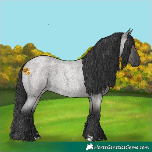 Horse Color:Grullo Roan 