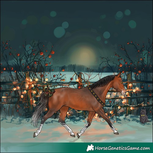 Horse Color:Bay Sabino 