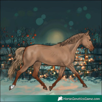 Horse Color:Red Dun