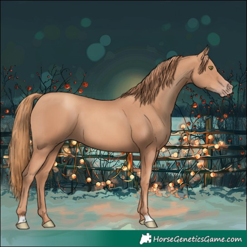 Horse Color:Gold Champagne