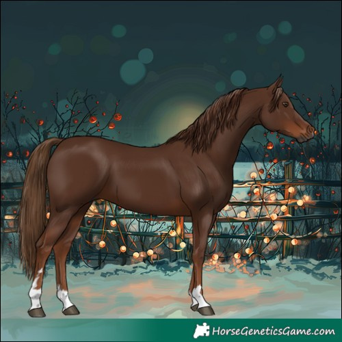 Horse Color:Gray Chestnut 