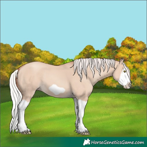 Horse Color:Silver Classic Champagne Dun Splash Frame